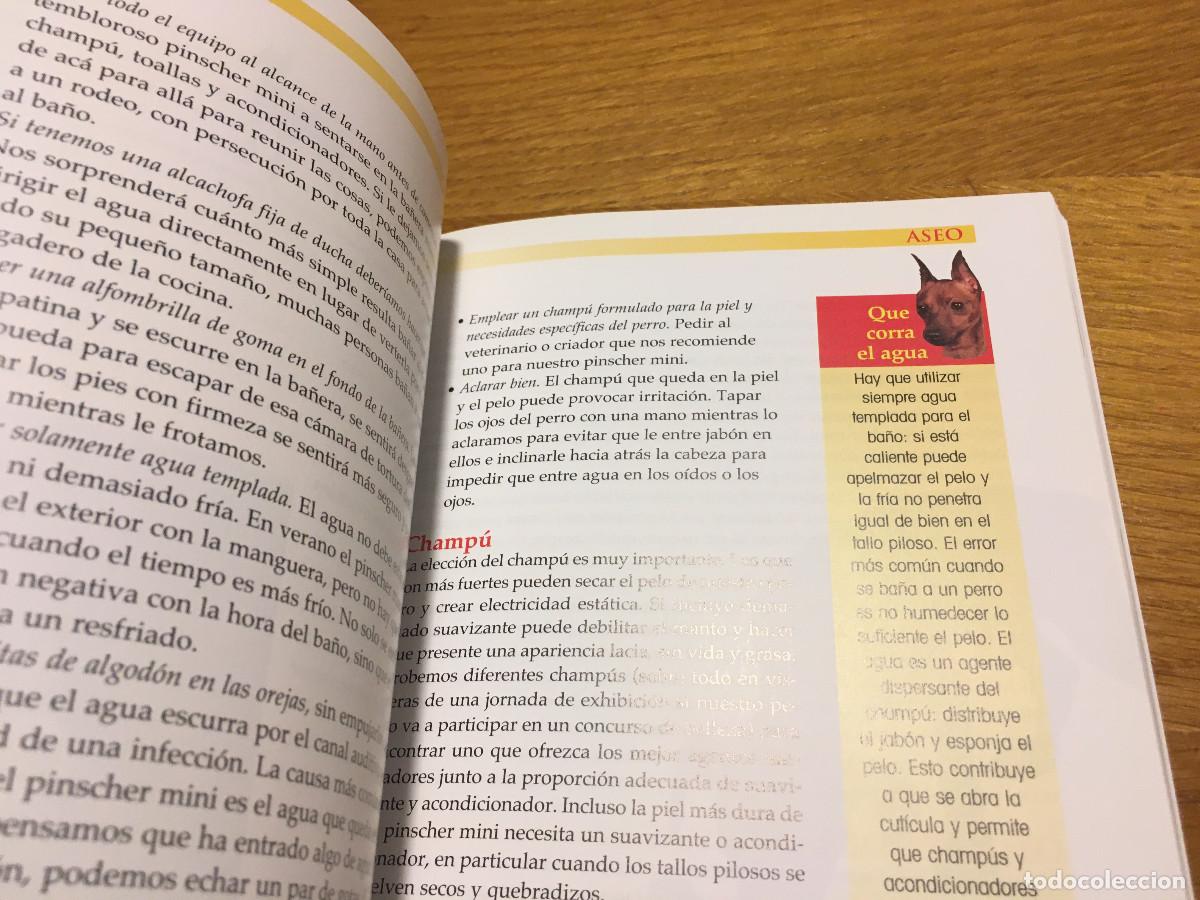 Libros: Libro sobre Pinscher Mini Ed. Tikal en castellano. - Foto 6