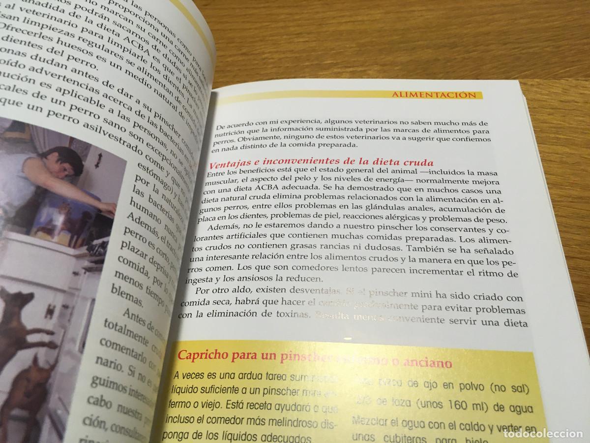 Libros: Libro sobre Pinscher Mini Ed. Tikal en castellano. - Foto 7