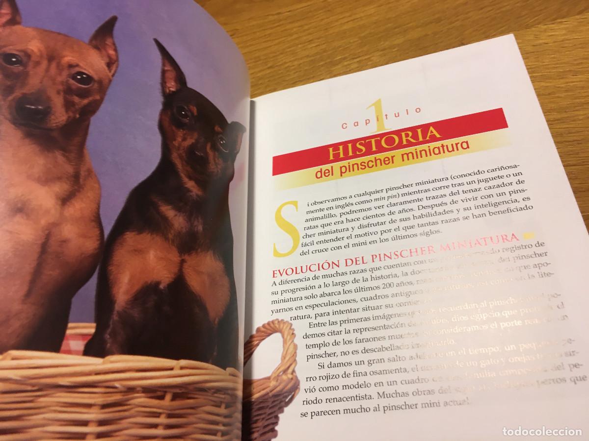 Libros: Libro sobre Pinscher Mini Ed. Tikal en castellano. - Foto 8