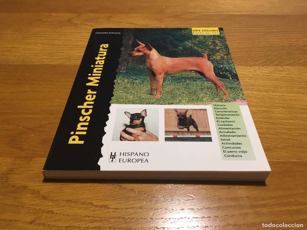 Libros: Libro Pinscher Miniatura en castellano - Foto 1