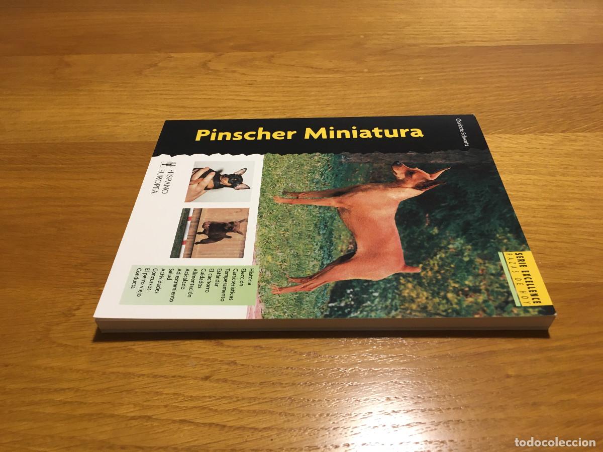 Libros: Libro Pinscher Miniatura en castellano - Foto 3