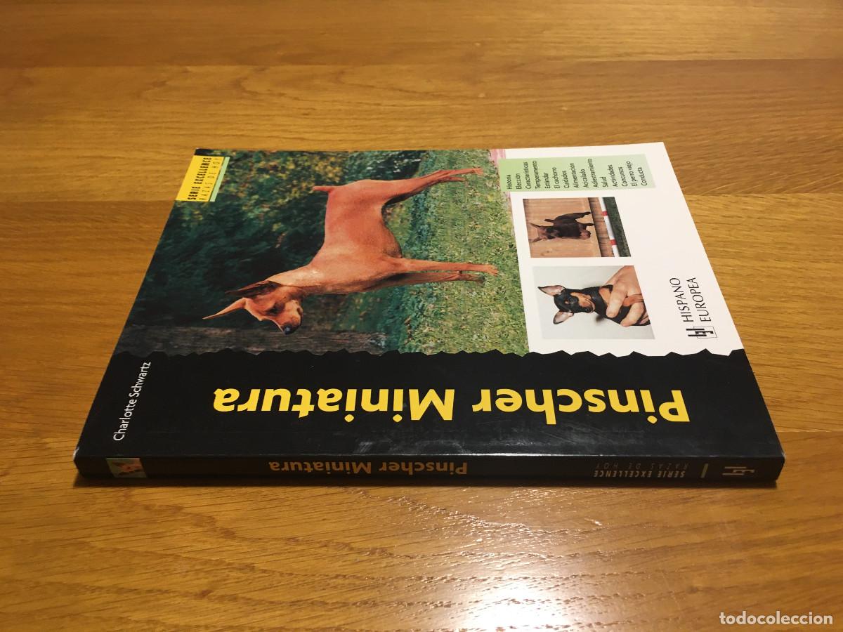 Libros: Libro Pinscher Miniatura en castellano - Foto 4