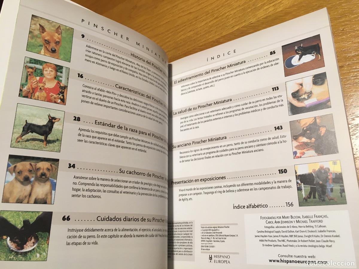 Libros: Libro Pinscher Miniatura en castellano - Foto 5