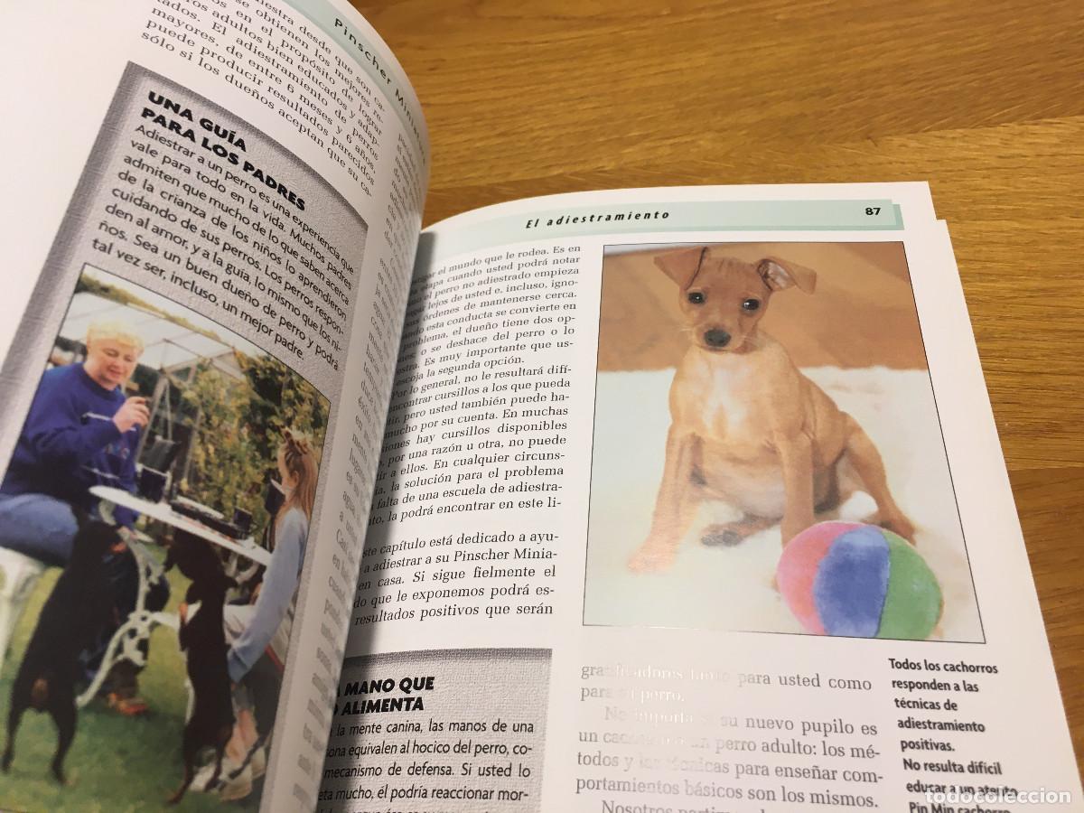 Libros: Libro Pinscher Miniatura en castellano - Foto 7