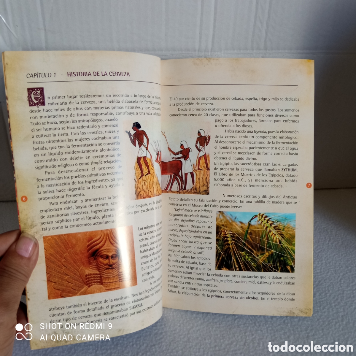 Libros: El mundo de las cervezas (heineken)2013. - Foto 3