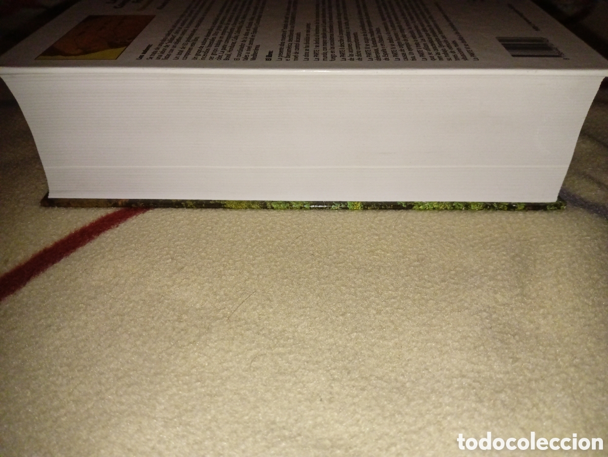 Libros: LA DEFENSA CONTRA LOS INCENDIOS FORESTALES. Fundamentos y experiencias. - Foto 5