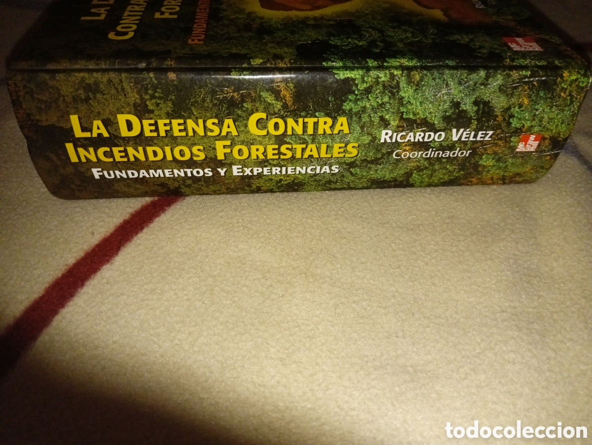 Libros: LA DEFENSA CONTRA LOS INCENDIOS FORESTALES. Fundamentos y experiencias. - Foto 6