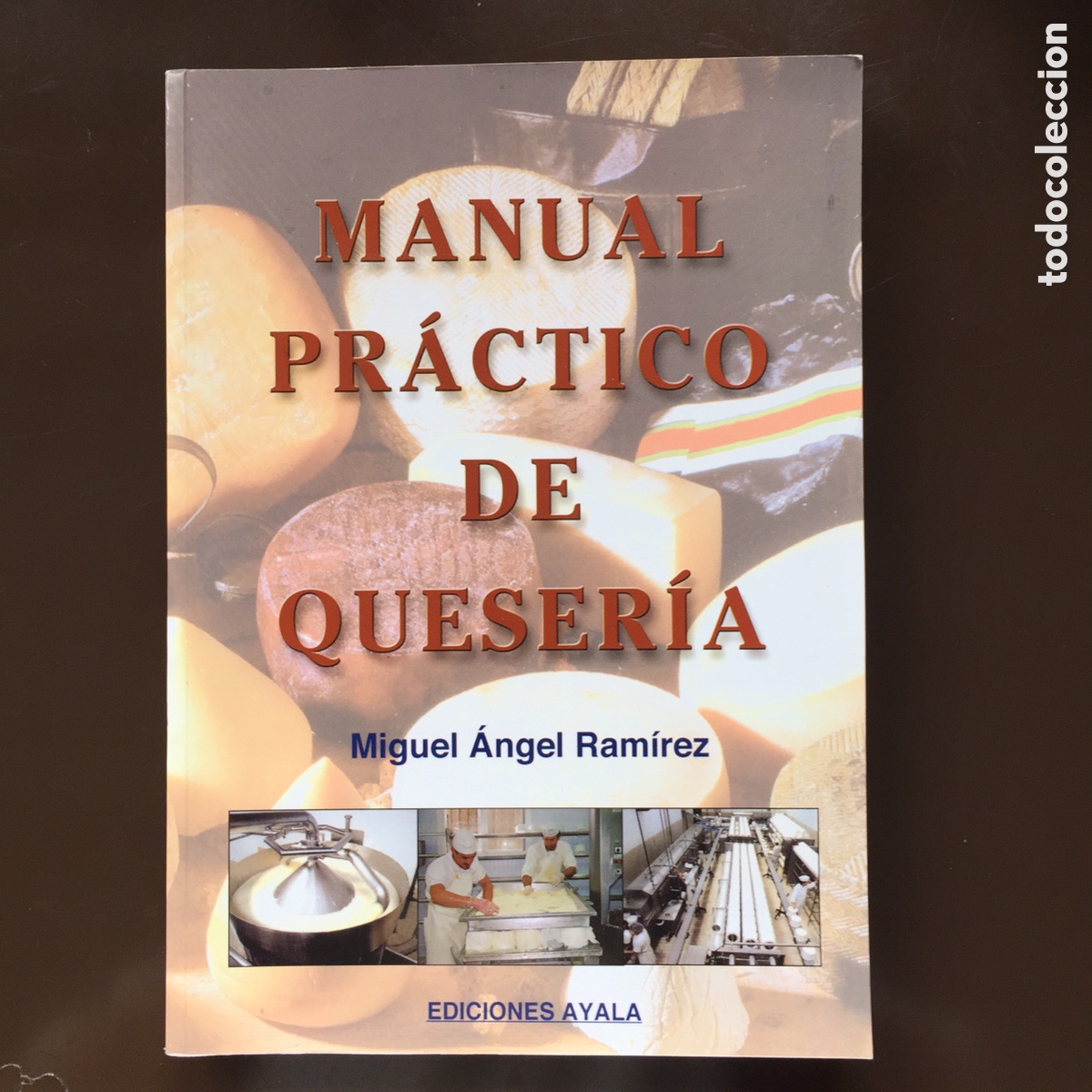 Libros: MANUAL PRACTICO DE QUESERIA MIGUEL ANGEL RAMIREZ EDICIONES AYALA 2005 - Foto 1