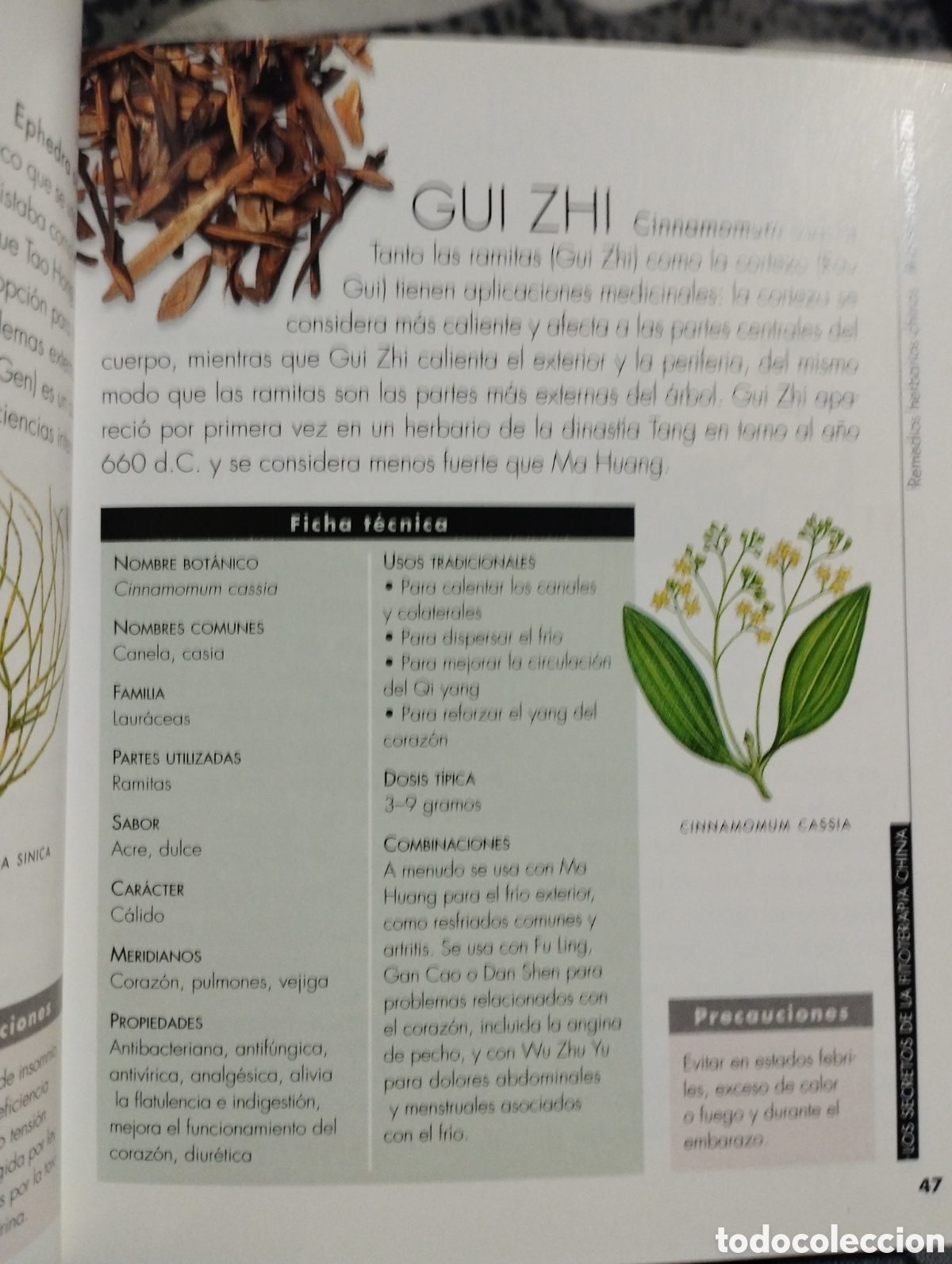Libros: Fitoterapia china - Foto 4