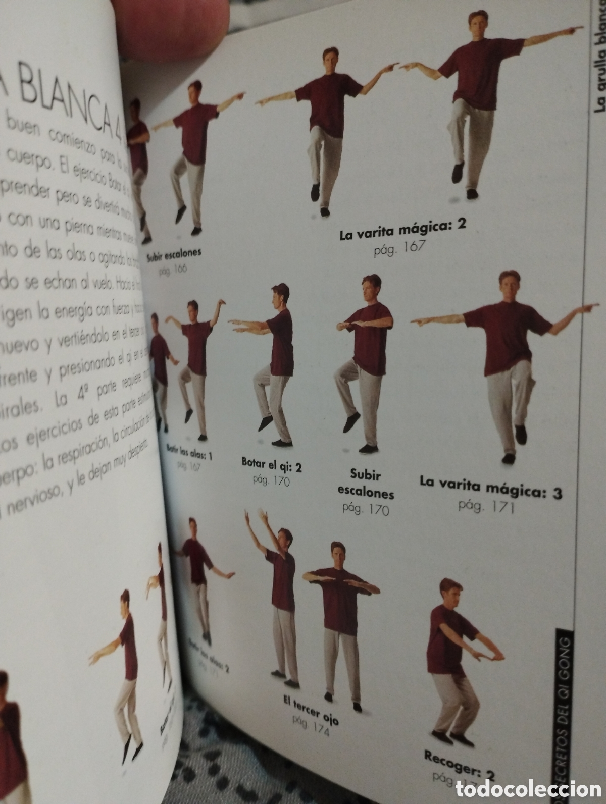 Libros: Los secretos del Qi Gong - Foto 5