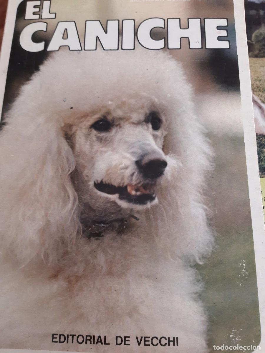 Libros: El Caniche Salvador G&oacute;mez Toldr&aacute; - Foto 1