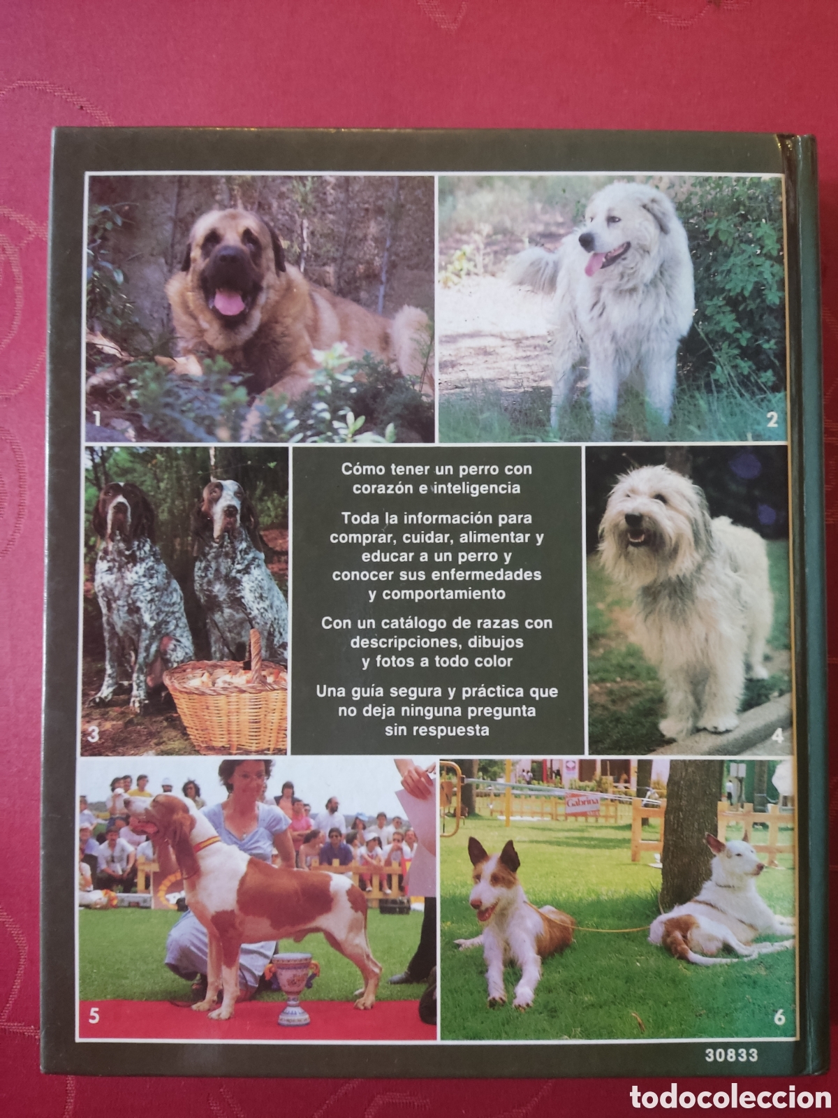 Libros: El nuevo libro del perro - Foto 2
