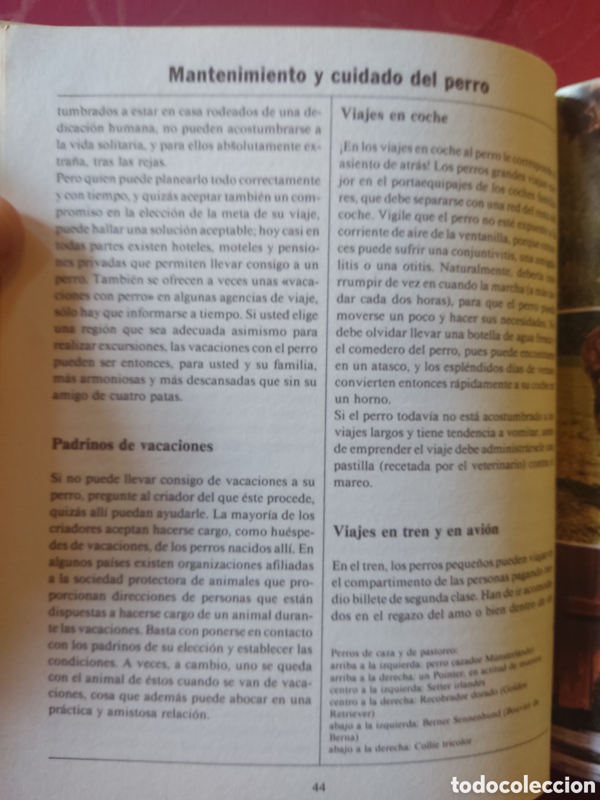 Libros: El nuevo libro del perro - Foto 6
