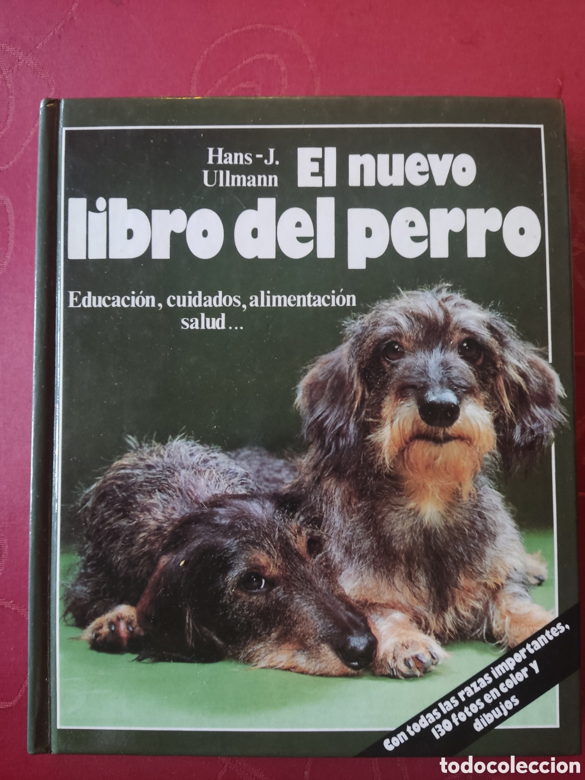 Libros: El nuevo libro del perro - Foto 1