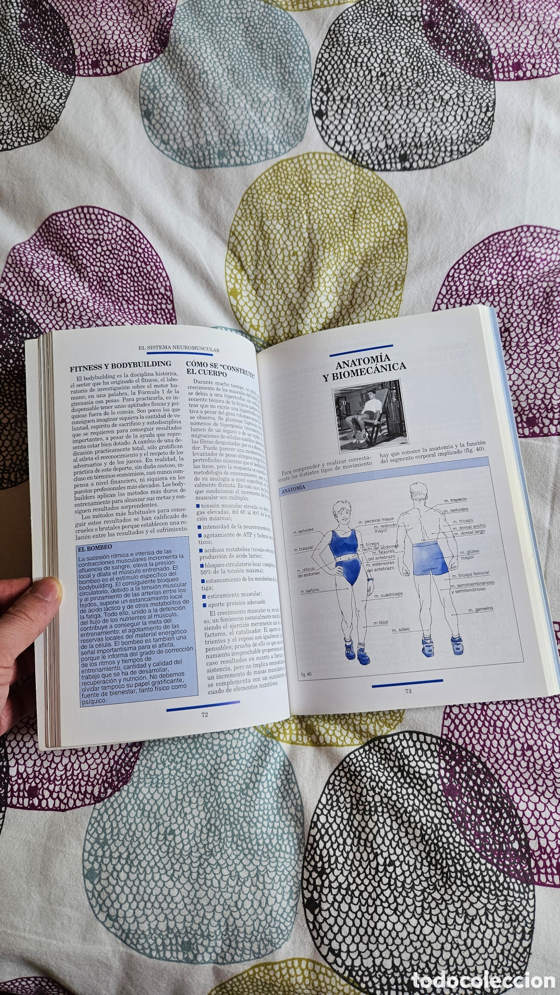 Libros: Manual tutor del fitness - Foto 3