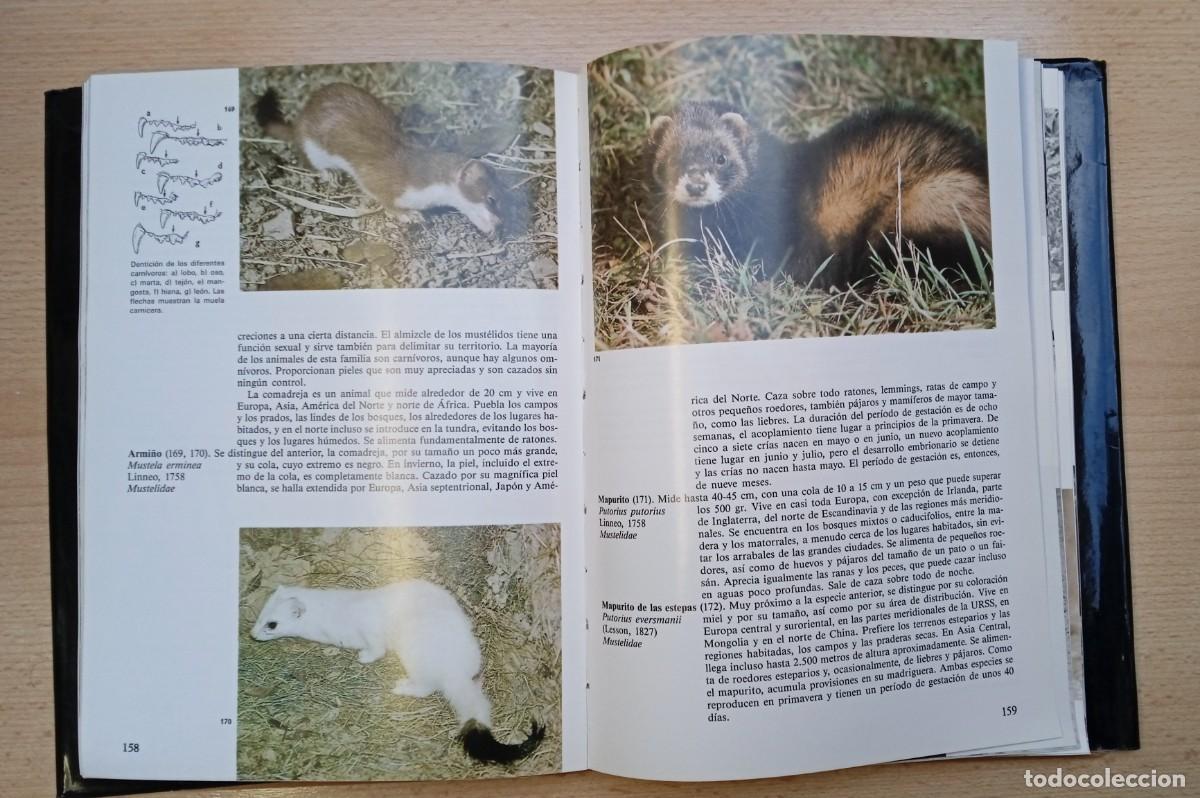 Libros: ATLAS DE LOS ANIMALES MAM&Iacute;FEROS - Foto 3