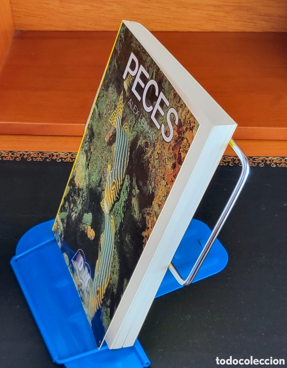 Libros: Peces de acuario de Alex Leinhas - Foto 3