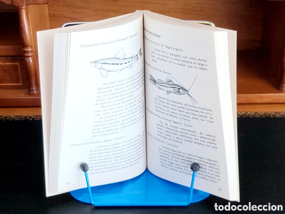 Libros: Peces de acuario de Alex Leinhas - Foto 5