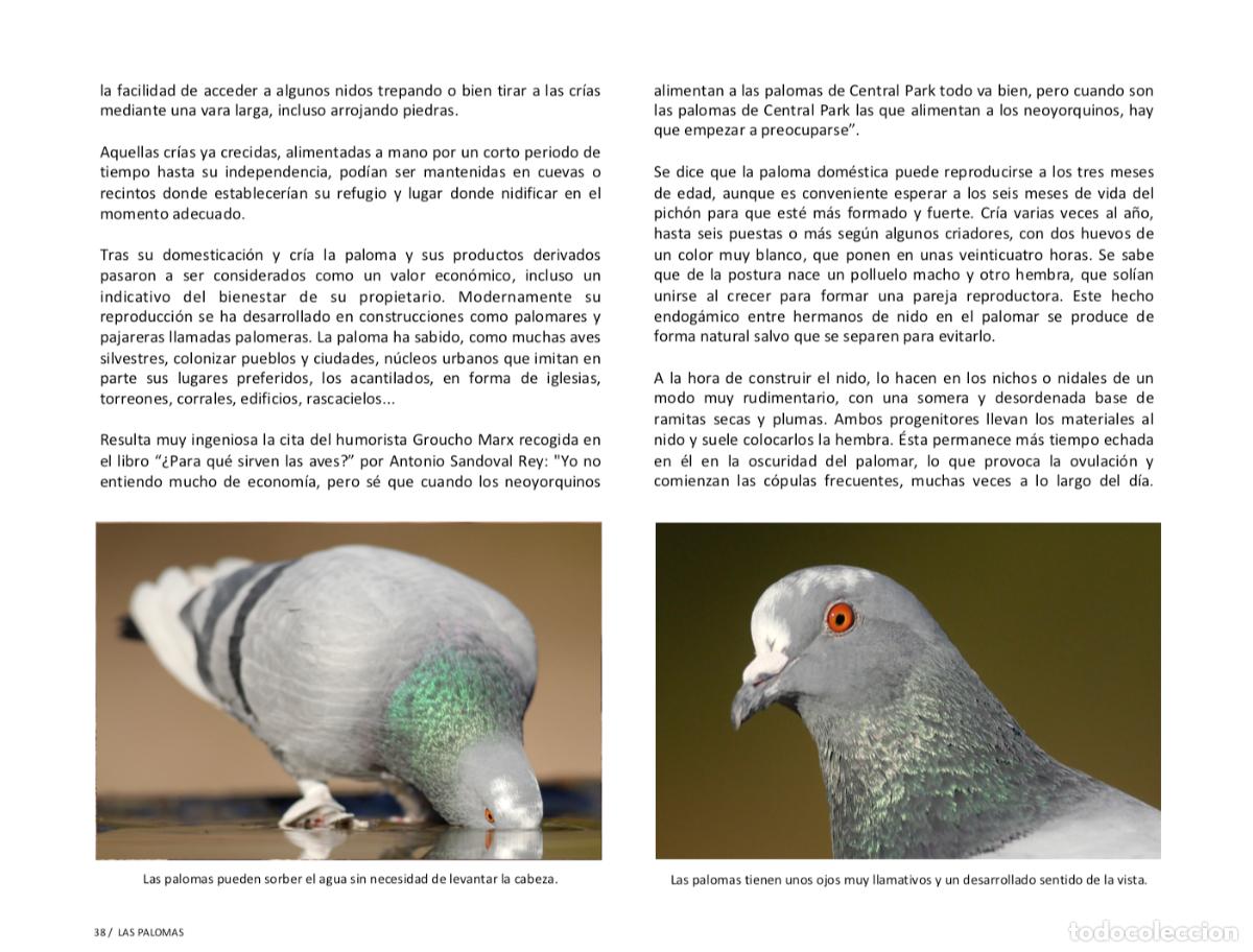 Libros: LIBRO PALOMARES SINGULARES DE ESPA&Ntilde;A. Env&iacute;o incluido. - Foto 12