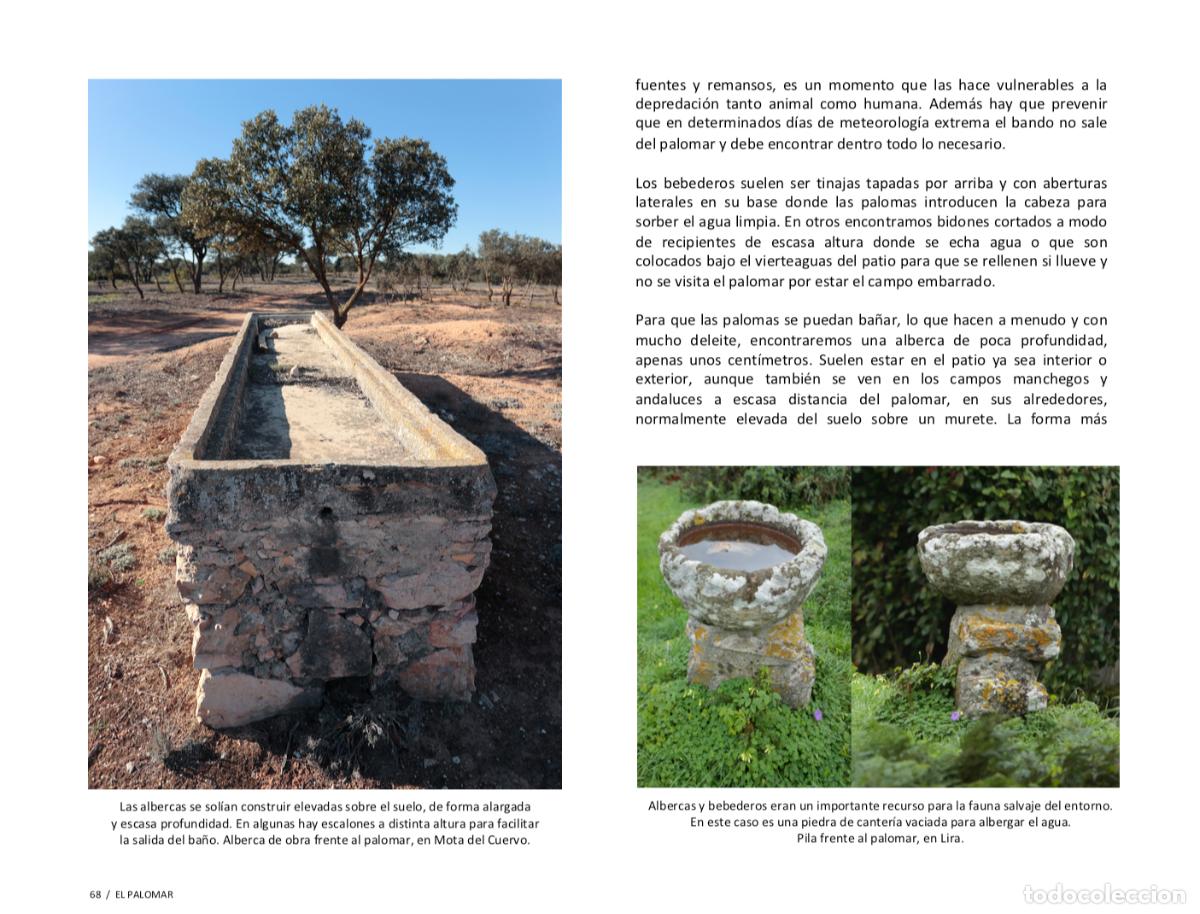 Libros: LIBRO PALOMARES SINGULARES DE ESPA&Ntilde;A. Env&iacute;o incluido. - Foto 16