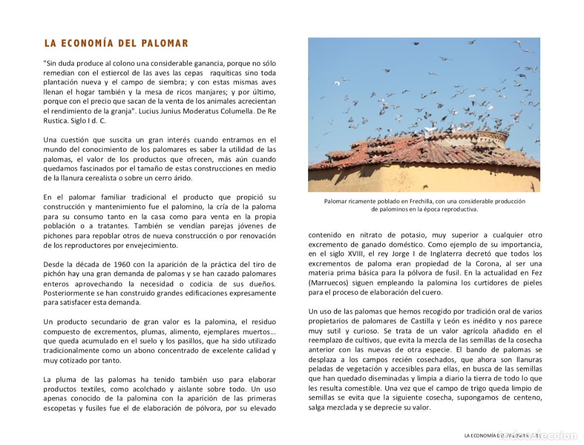 Libros: LIBRO PALOMARES SINGULARES DE ESPA&Ntilde;A. Env&iacute;o incluido. - Foto 18