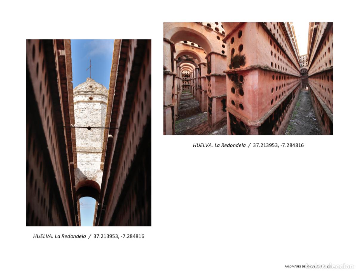 Libros: LIBRO PALOMARES SINGULARES DE ESPA&Ntilde;A. Env&iacute;o incluido. - Foto 22