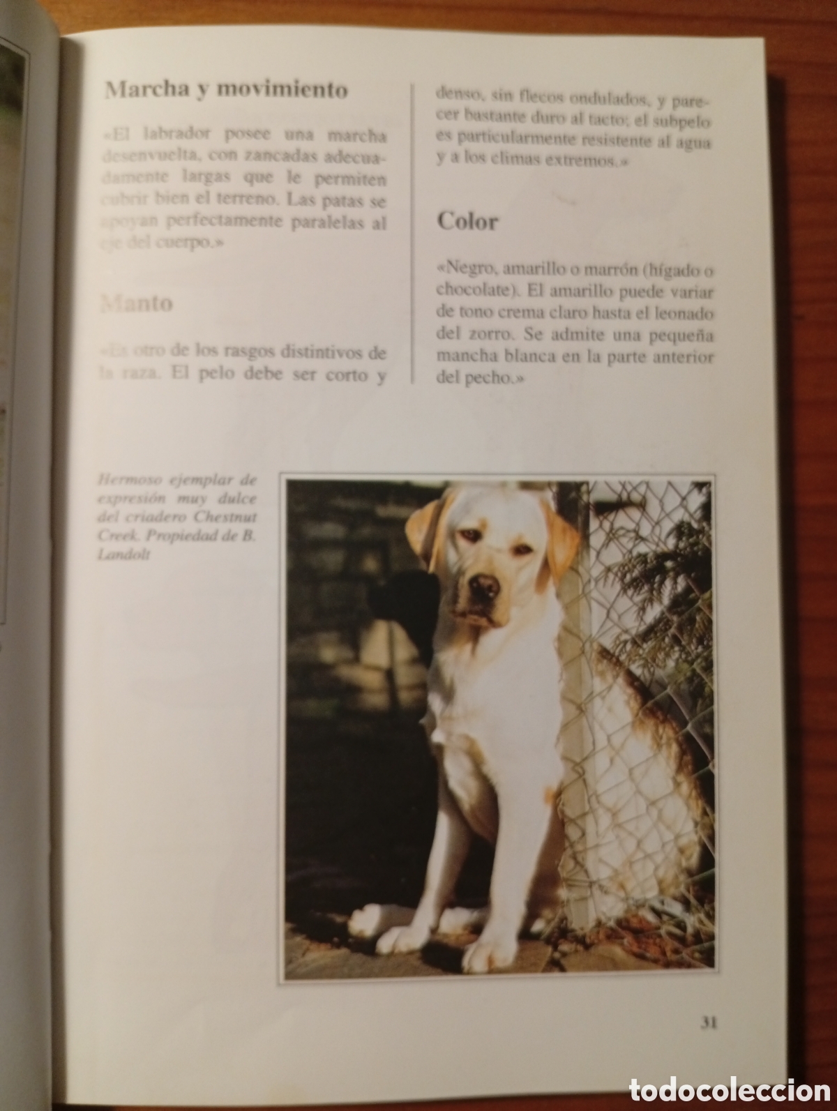 Libros: Perros de Raza- El Labrador - Luisa Ginoulhiac - Editorial de Vecchi, 1995 - Foto 5