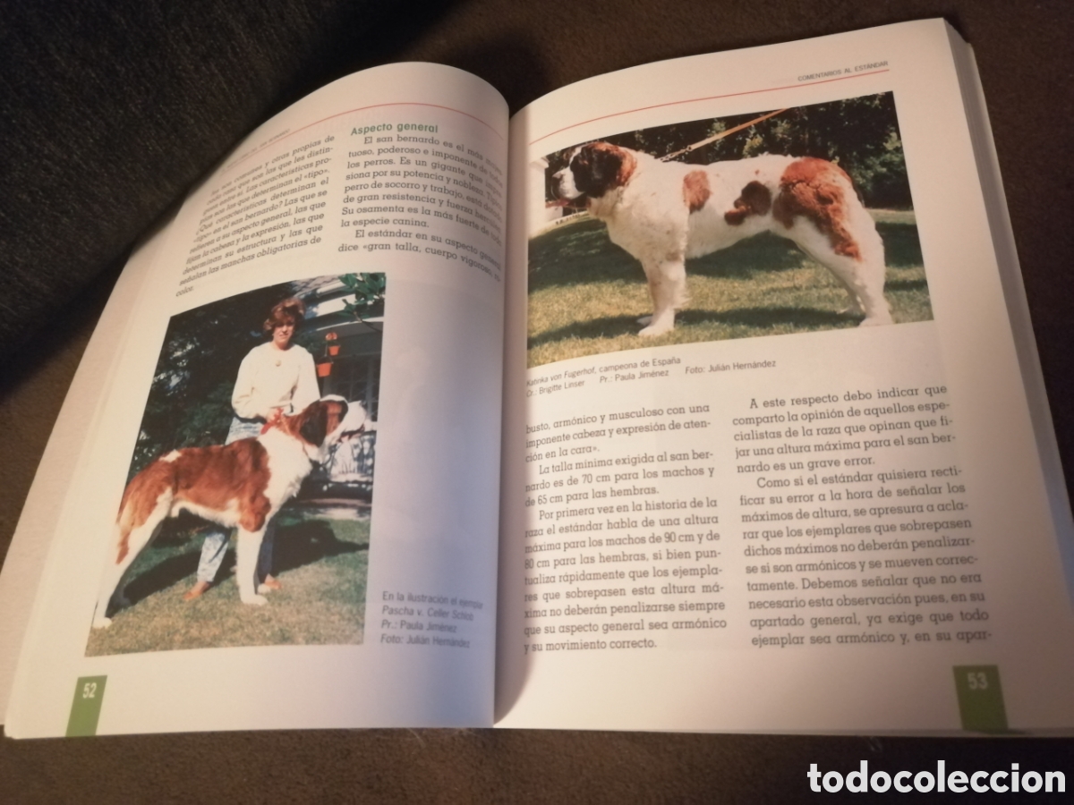 Libros: Lote plantas y bricolaje libros - Foto 14