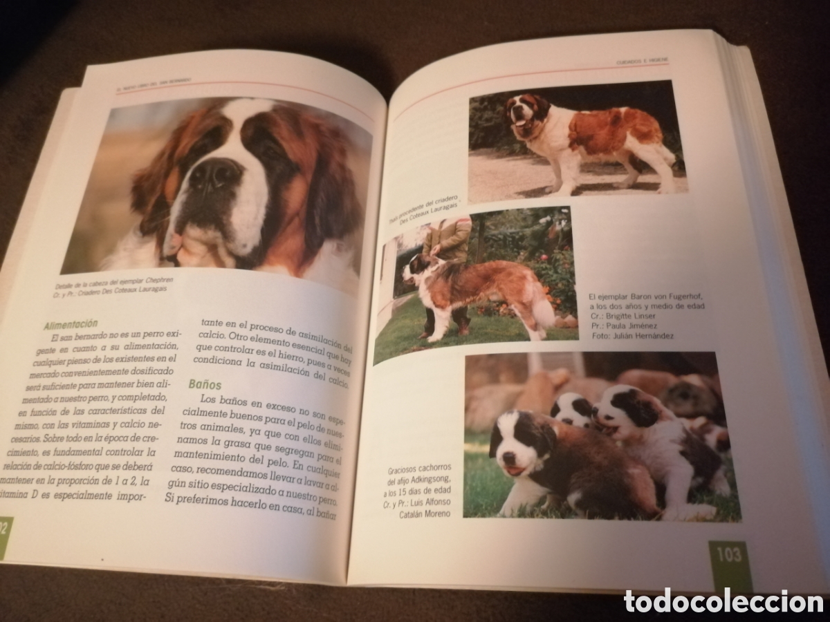 Libros: Lote plantas y bricolaje libros - Foto 15