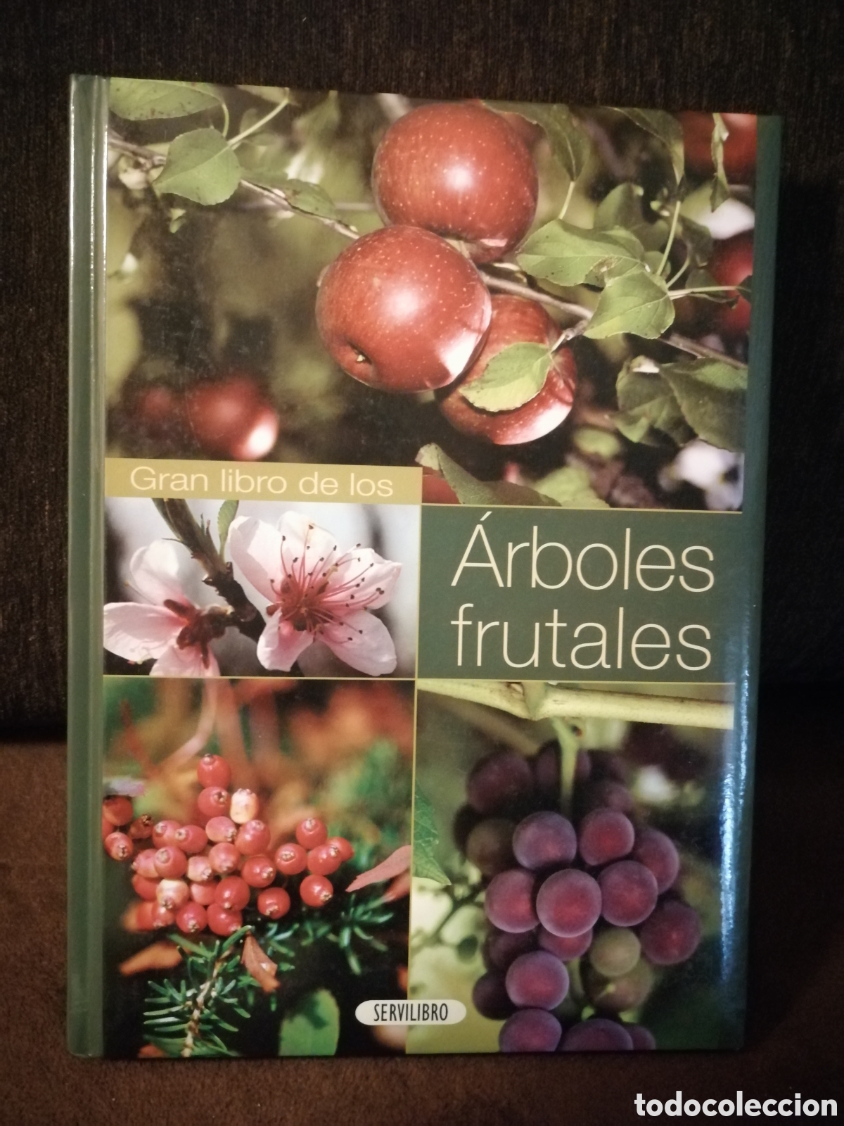 Libros: Lote plantas y bricolaje libros - Foto 20