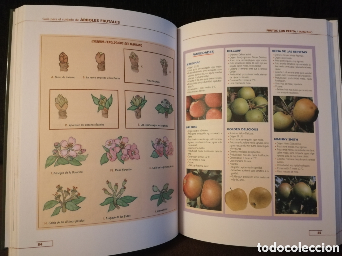 Libros: Lote plantas y bricolaje libros - Foto 22