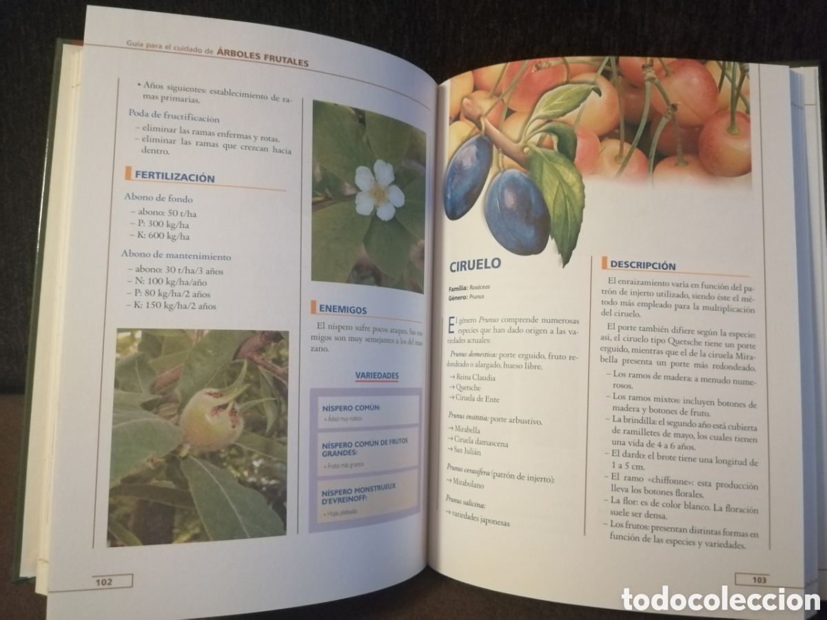 Libros: Lote plantas y bricolaje libros - Foto 23