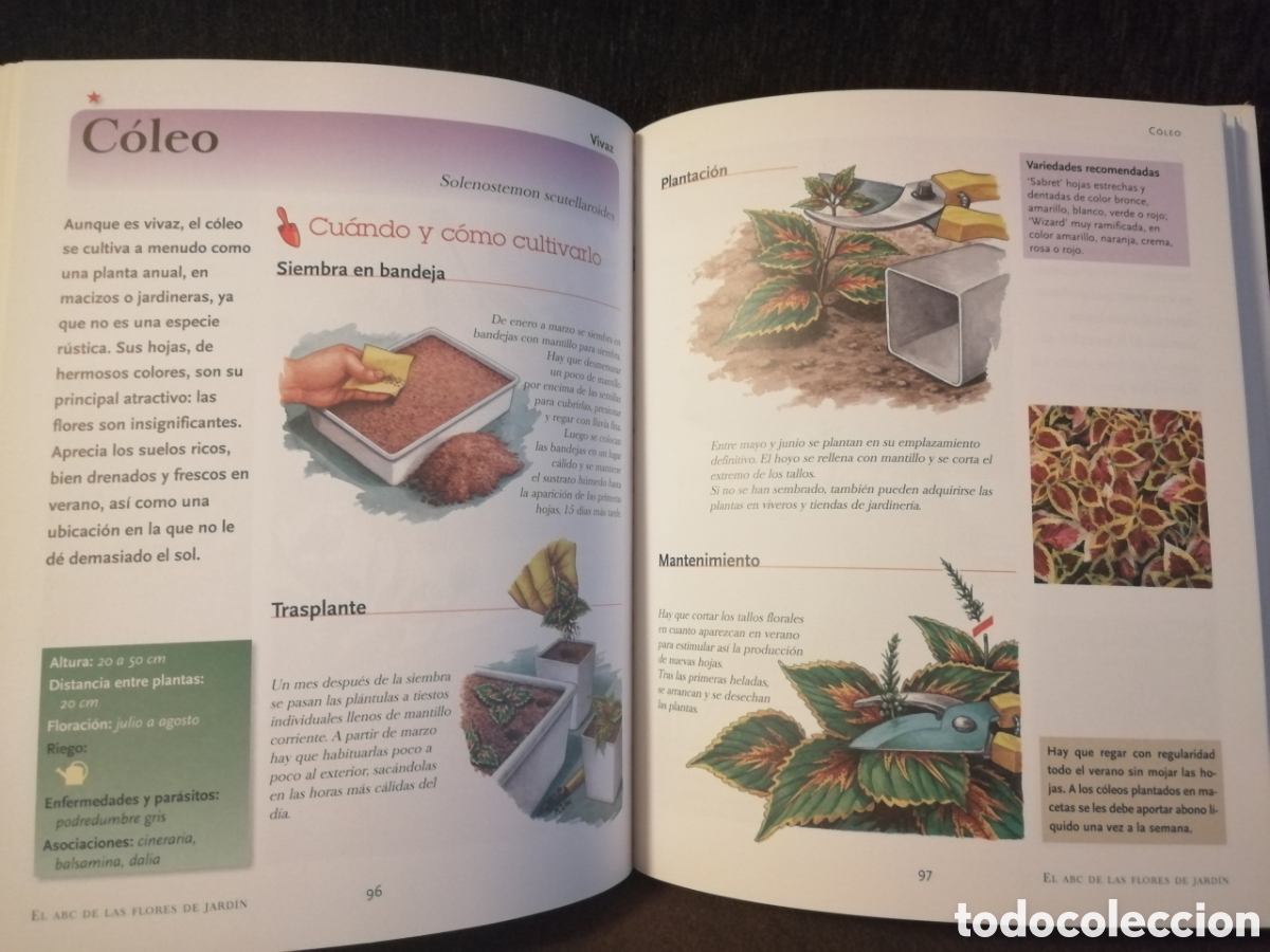 Libros: Lote plantas y bricolaje libros - Foto 26