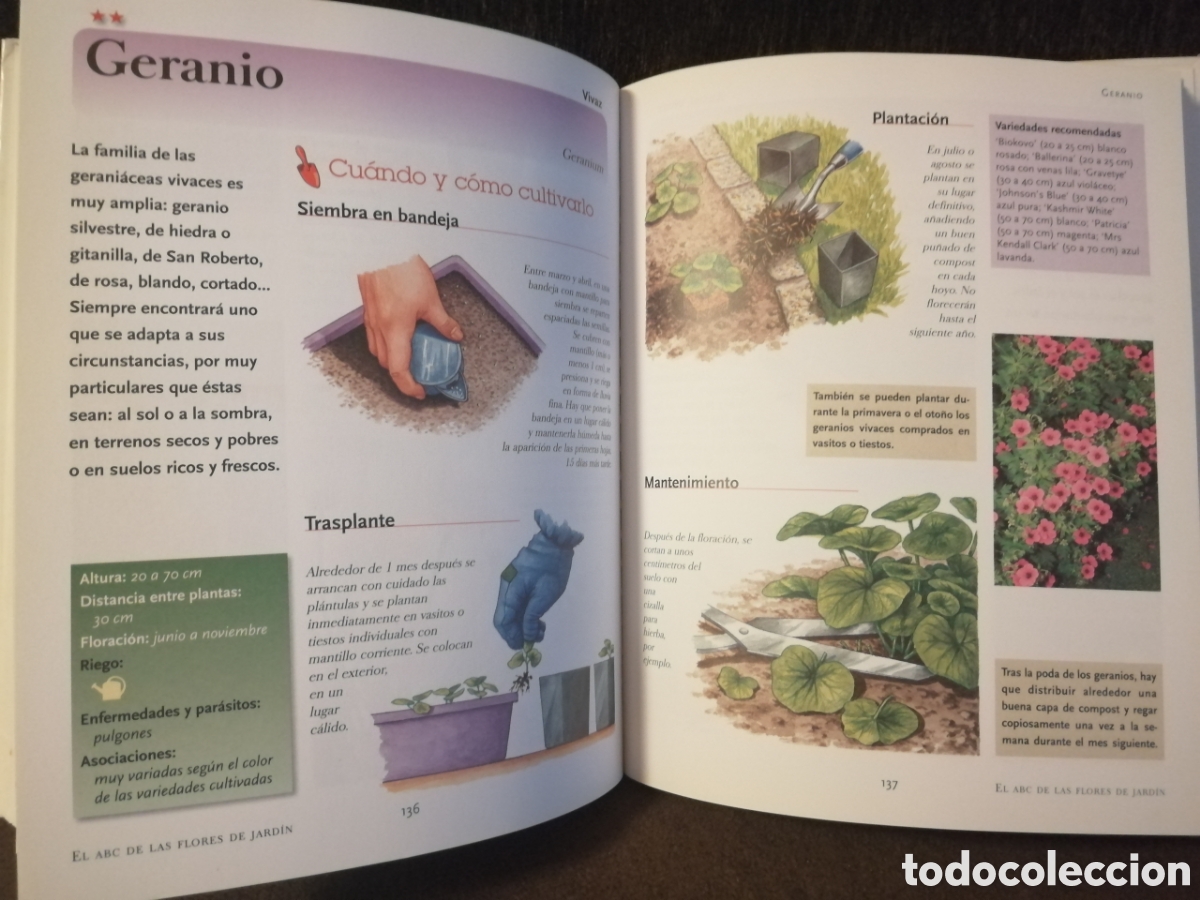 Libros: Lote plantas y bricolaje libros - Foto 27