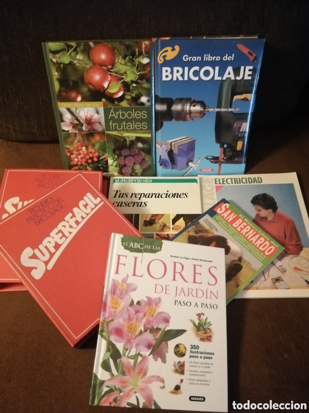 Libros: Lote plantas y bricolaje libros - Foto 1