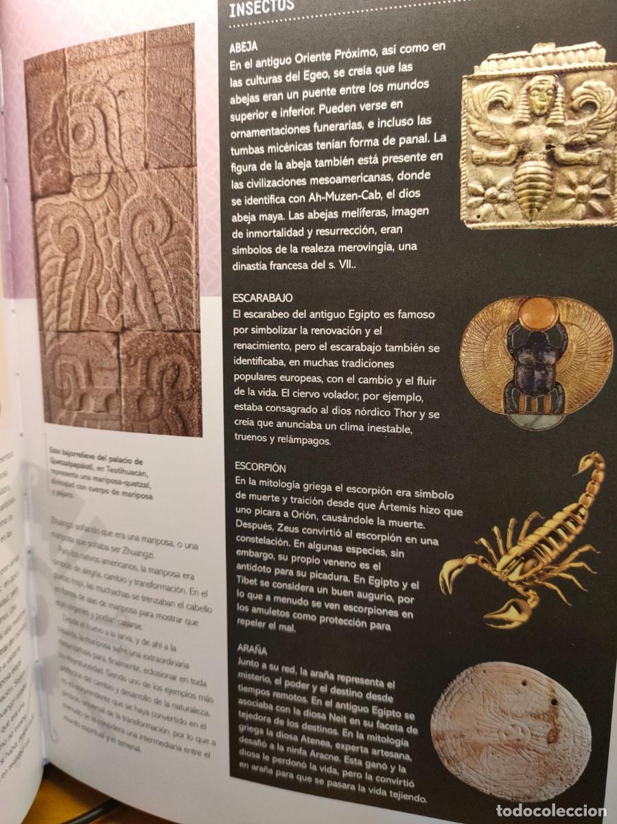 Libros: Los secretos del universo en 100 s&iacute;mbolos. Sarah Bartlett. Edit. Librero - Foto 7