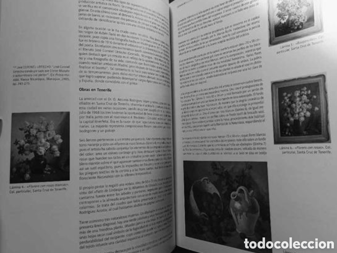 Libros: Revista Catharum n&ordm; 12 - Foto 6