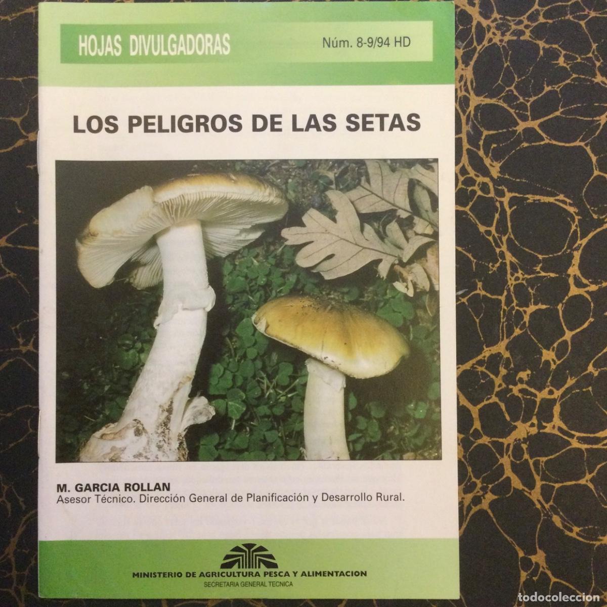 Libros: Los peligros de las setas. M. Garcia Roll&aacute;n. NUEVO - Foto 1