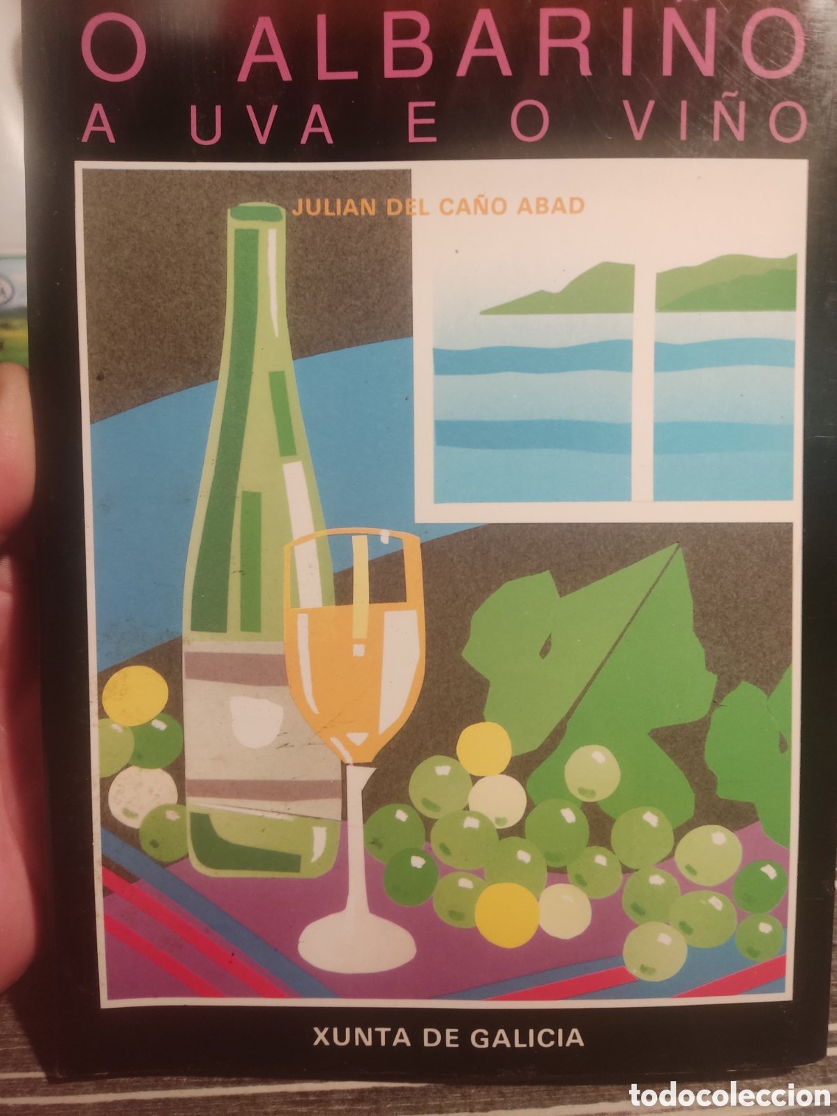 Libros: O Albari&ntilde;o a uva e o vi&ntilde;o - Foto 1