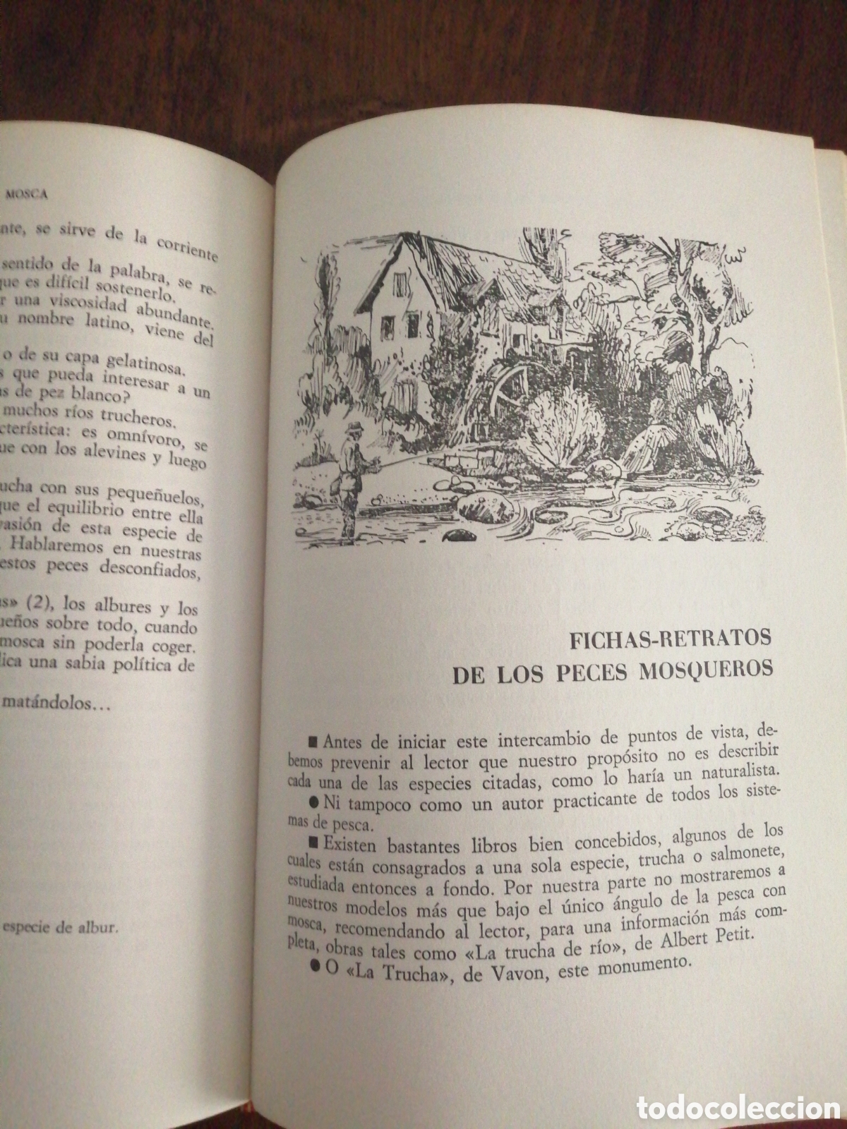 Libros: Libro Pesca a la mosca - Foto 4