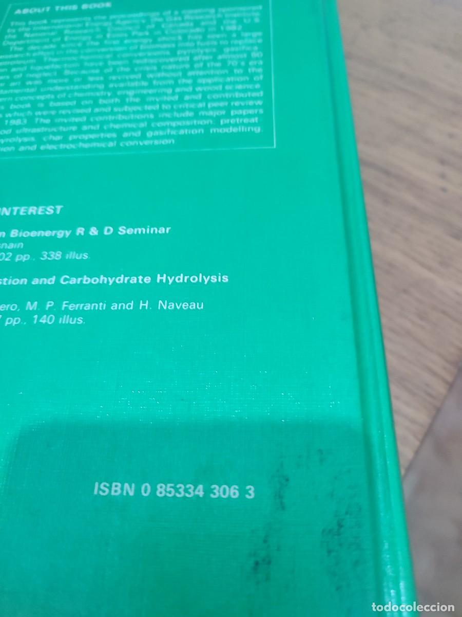 Libros: FUNDAMENTALS OF THERMOCHEMICAL BIOMASS CONVERSION - Foto 4