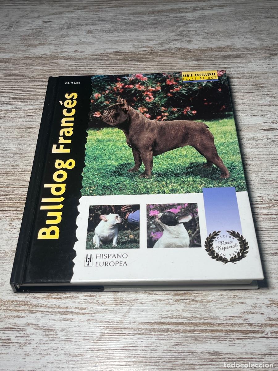 Libros: Libro Bulldog Franc&eacute;s | M P Lee | - Foto 1