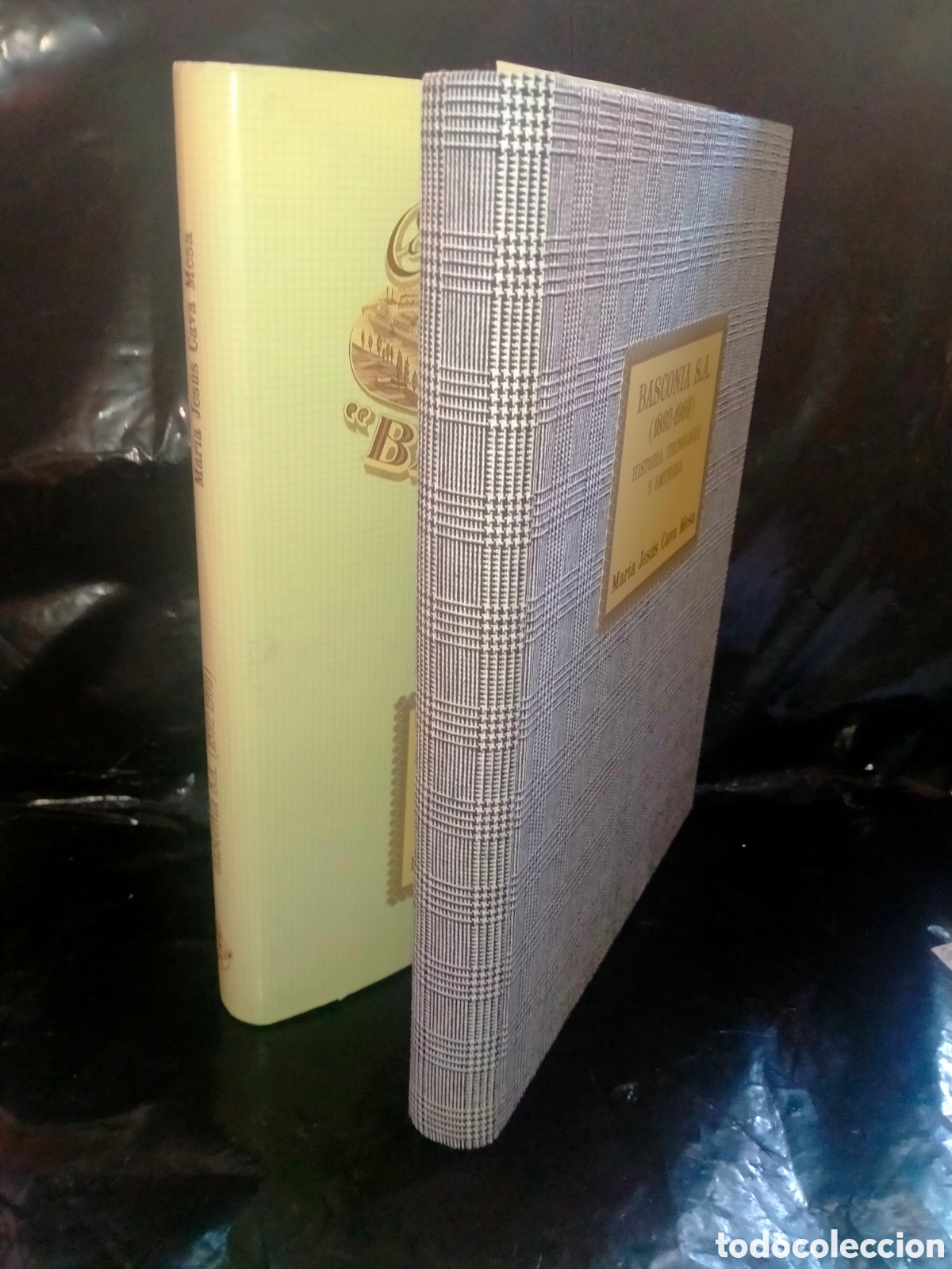 Libros: MAR&Iacute;A JES&Uacute;S CAVA. BASCONIA S.A. (1892-1969) .AUE - Foto 26