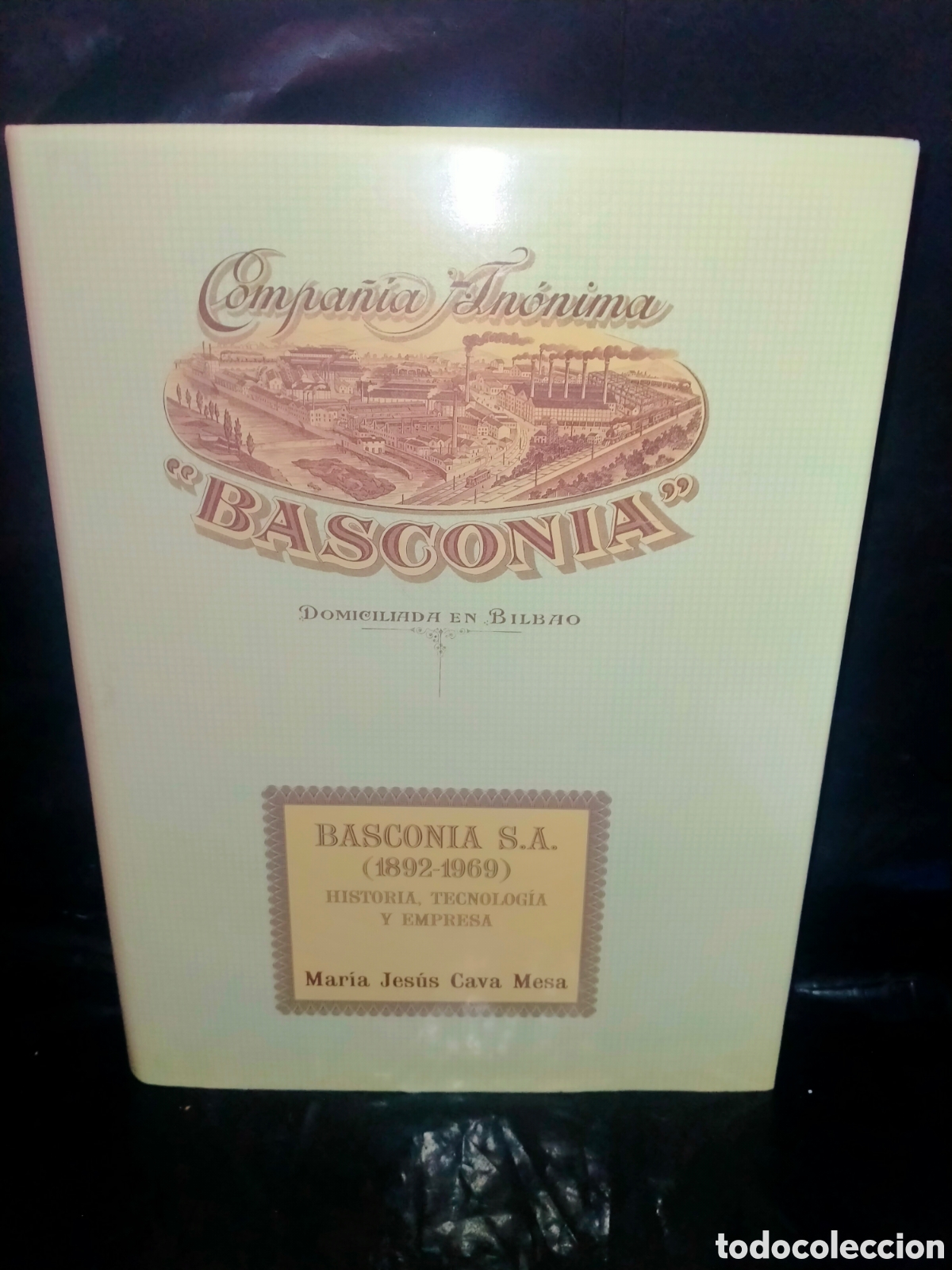Libros: MAR&Iacute;A JES&Uacute;S CAVA. BASCONIA S.A. (1892-1969) .AUE - Foto 1