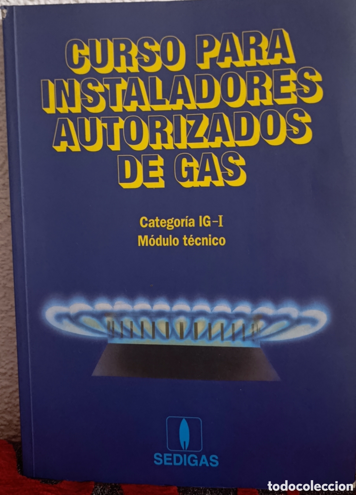 Libros: Libro Curso Para Instaladores Autorizados De Gas - Categor&iacute;a IG-I (M&oacute;dulo T&eacute;cnico) - SEDIGAS