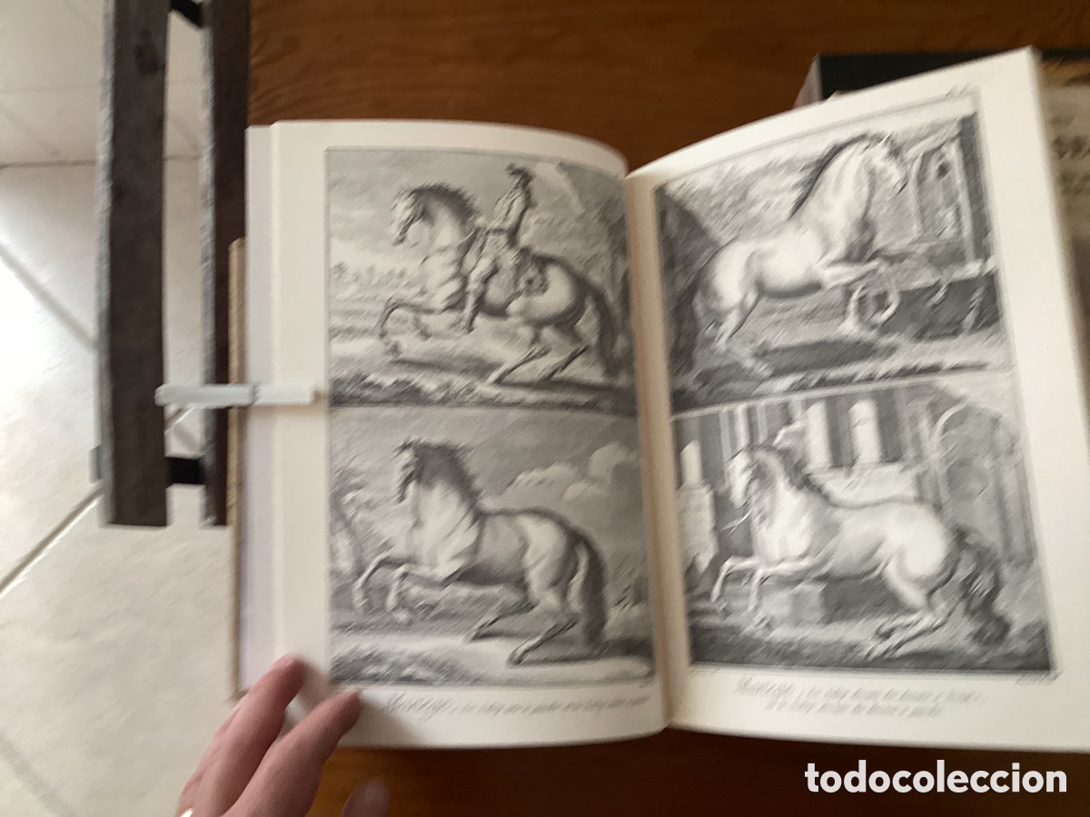Libros: El arte del caballo, Enciclopedia de Diderot y dAlembert, facs&iacute;mil - Foto 2