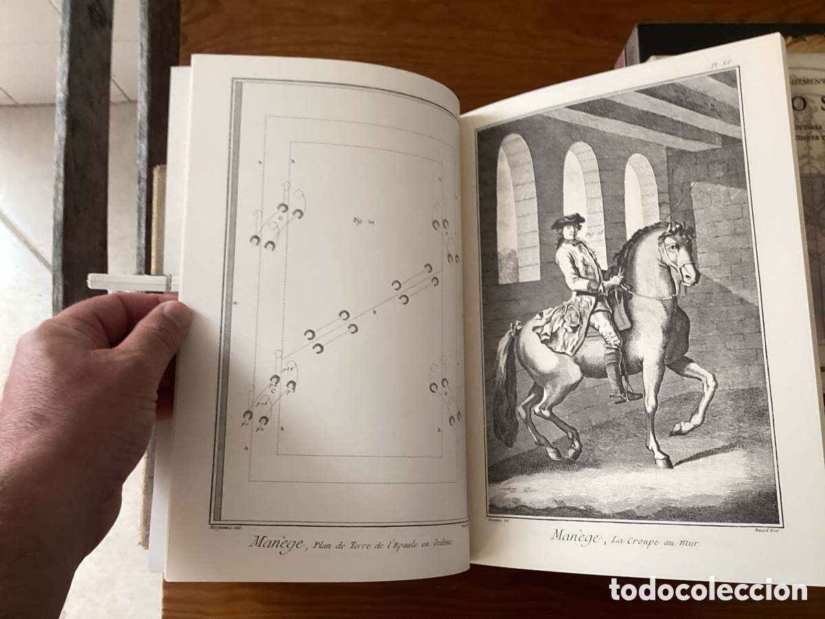 Libros: El arte del caballo, Enciclopedia de Diderot y dAlembert, facs&iacute;mil - Foto 3