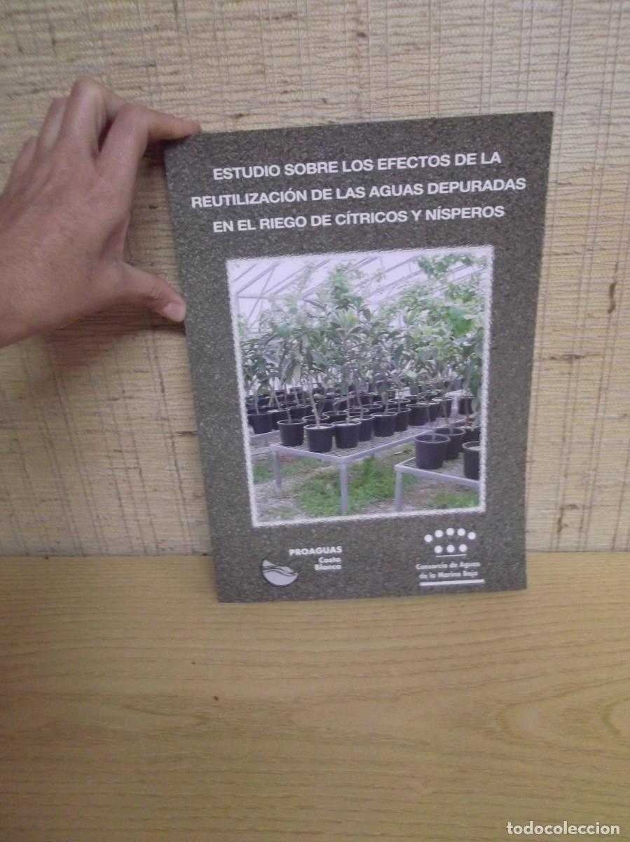 Libros: Libro Estudio sobre los efecto de la reutilizaci&oacute;n de las aguas depuradas en el riego de c&iacute;tricos