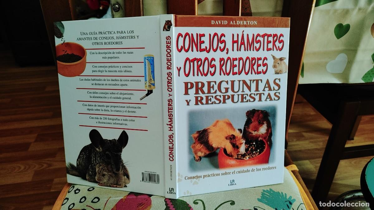 Libros: Conejos, H&aacute;msters y Otros Roedores. Preguntas y Respuestas,tapa dura,208 paginas