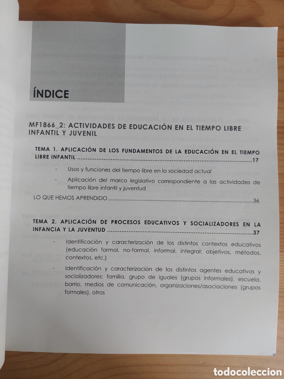 Libros: Actividades de educaci&oacute;n en el tiempo libre infantil y juvenil - Foto 2